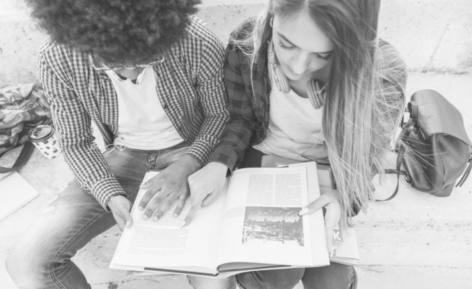 Professional CRM implementation process